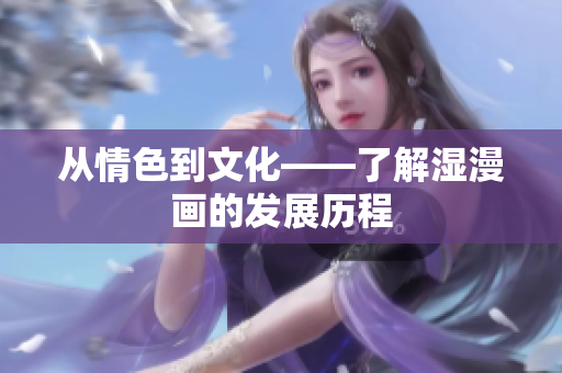 从情色到文化——了解湿漫画的发展历程