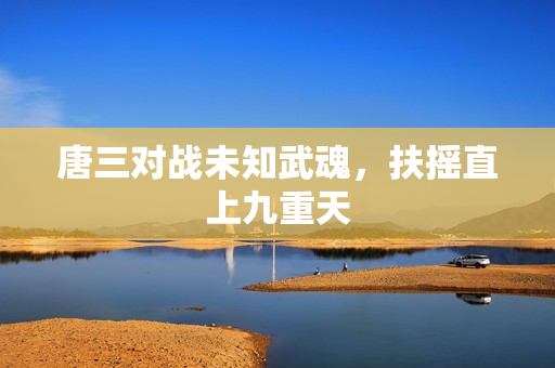 唐三对战未知武魂，扶摇直上九重天