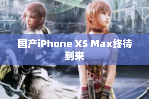 国产iPhone XS Max终待到来