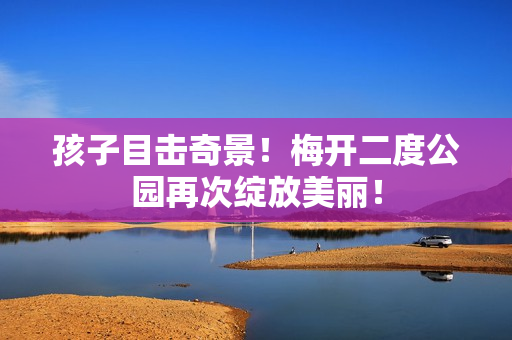 孩子目击奇景！梅开二度公园再次绽放美丽！