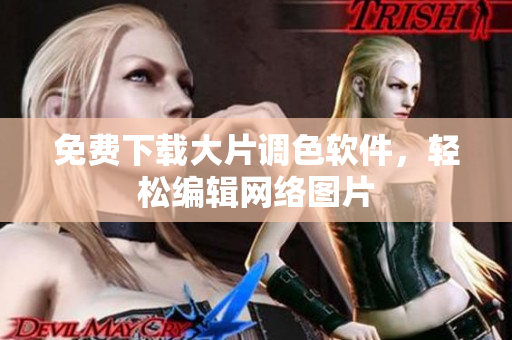 免费下载大片调色软件，轻松编辑网络图片