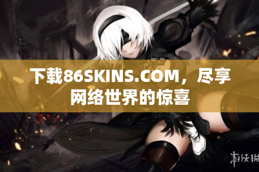 下载86SKINS.COM，尽享网络世界的惊喜