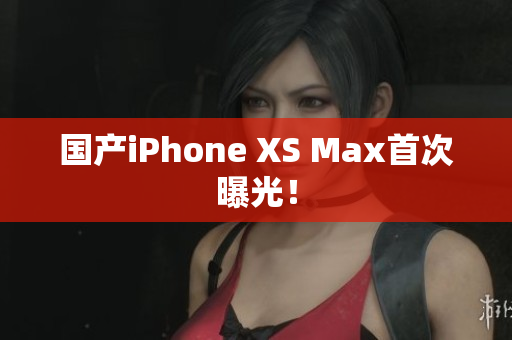 国产iPhone XS Max首次曝光！