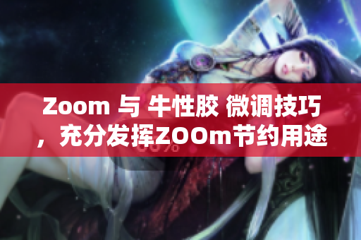 Zoom 与 牛性胶 微调技巧，充分发挥ZOOm节约用途