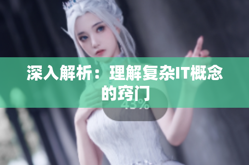 深入解析：理解复杂IT概念的窍门