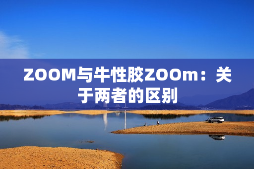 ZOOM与牛性胶ZOOm：关于两者的区别