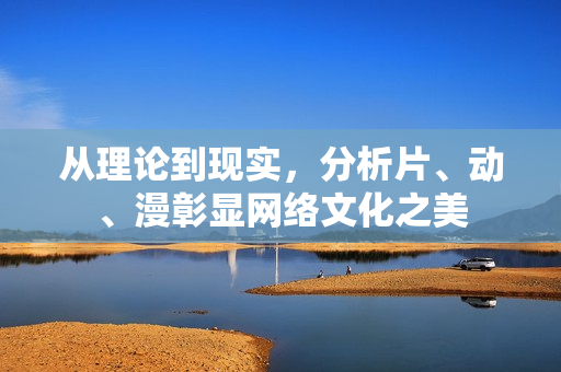 从理论到现实，分析片、动、漫彰显网络文化之美