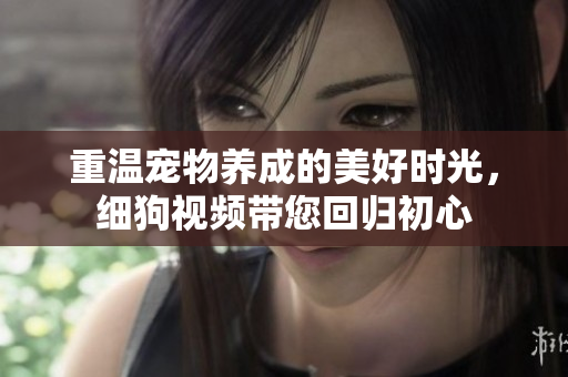重温宠物养成的美好时光，细狗视频带您回归初心
