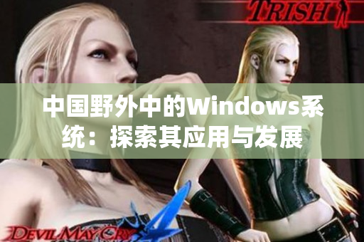 中国野外中的Windows系统：探索其应用与发展