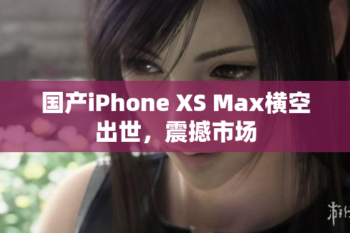 国产iPhone XS Max横空出世，震撼市场