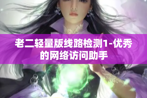 老二轻量版线路检测1-优秀的网络访问助手