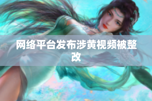 网络平台发布涉黄视频被整改