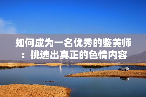如何成为一名优秀的鉴黄师：挑选出真正的色情内容
