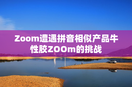Zoom遭遇拼音相似产品牛性胶ZOOm的挑战