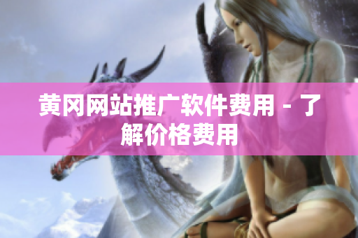 黄冈网站推广软件费用 - 了解价格费用