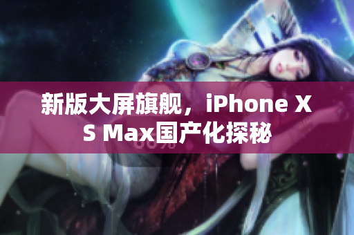 新版大屏旗舰，iPhone XS Max国产化探秘