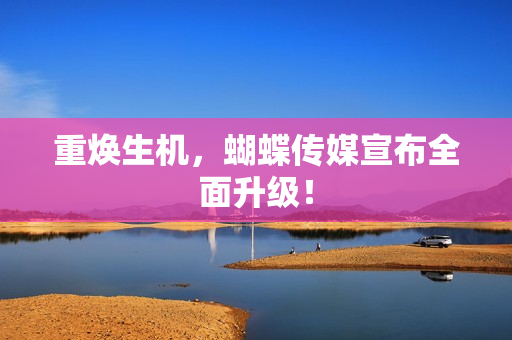 重焕生机，蝴蝶传媒宣布全面升级！