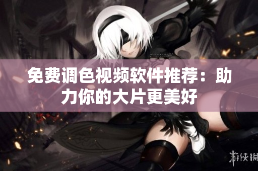 免费调色视频软件推荐：助力你的大片更美好