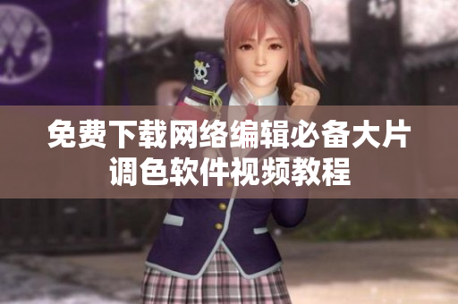 免费下载网络编辑必备大片调色软件视频教程