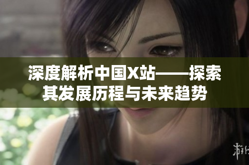 深度解析中国X站——探索其发展历程与未来趋势