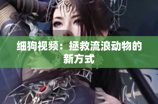 细狗视频：拯救流浪动物的新方式