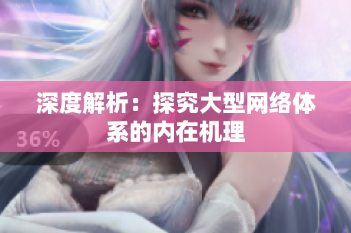 深度解析：探究大型网络体系的内在机理