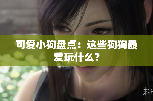 可爱小狗盘点：这些狗狗最爱玩什么？